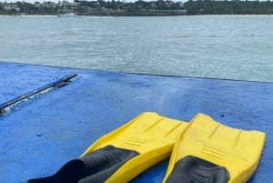 Zanzibar: Nungwi Beach Seawalk -kokemus oppaan kanssa