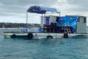 Zanzibar: Nungwi Beach Seawalk -kokemus oppaan kanssa