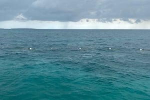 Zanzibar: Nungwi Beach Seawalk -kokemus oppaan kanssa