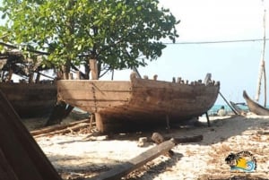 Zanzibar: Tazari Village Tour och simma med sköldpaddor