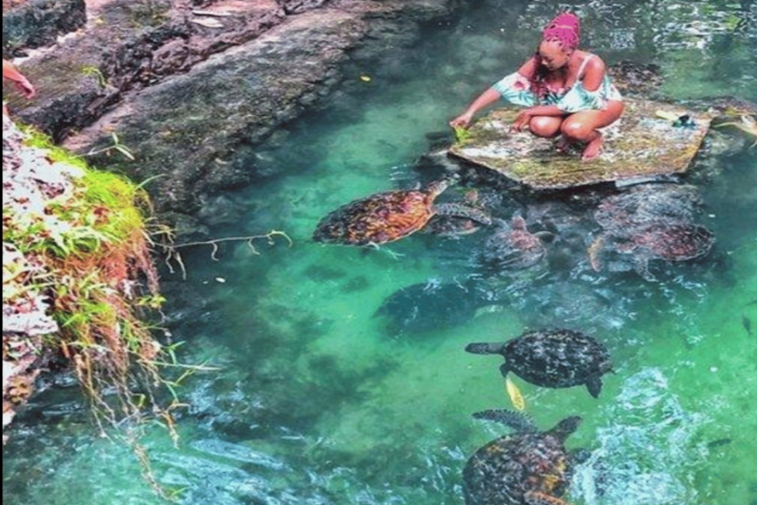 Zanzibar: Nungwi Cultural Village Tour og svømming med skilpadder