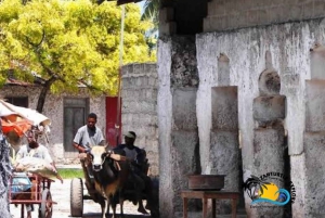 Zanzibar: Nungwi Cultural Village Tour & Sunset Dhow Cruise