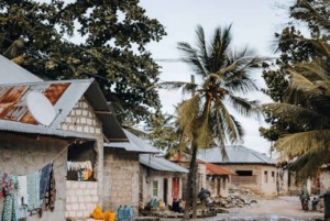 Zanzibar: Nungwi Cultural Village Tour & Sunset Dhow Cruise