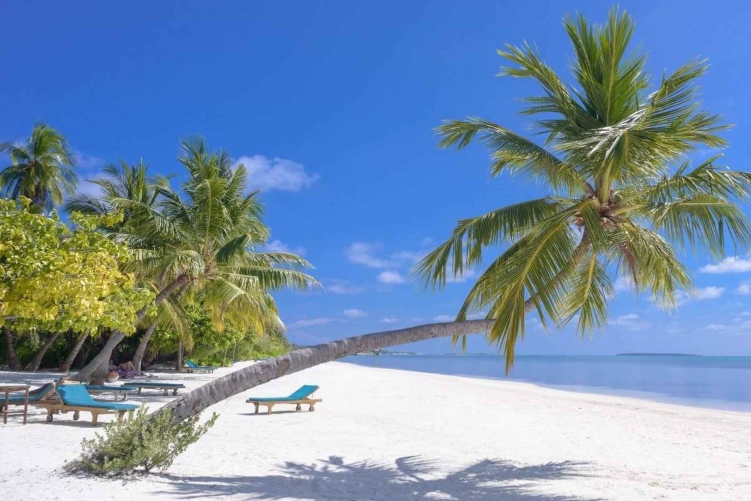 Zanzibar: Ridetur i Nungwi og dhow-sejltur ved solnedgang