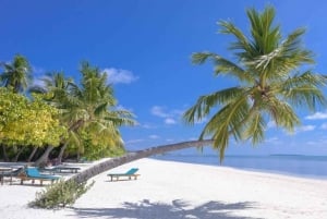 Zanzibar: Ridetur i Nungwi og dhow-sejltur ved solnedgang