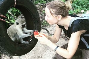 Zanzibar: Nungwi Kilosa Conservation Zoo half day tour