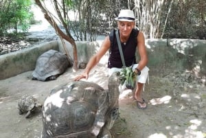Zanzibar: Nungwi Kilosa Conservation Zoo half day tour