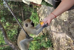 Zanzibar: Nungwi Kilosa Conservation Zoo half day tour