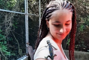 Zanzibar: Nungwi Kilosa Conservation Zoo half day tour