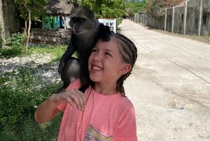Zanzibar: Nungwi Kilosa Conservation Zoo half day tour