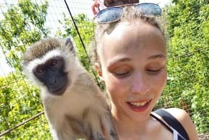 Zanzibar: Nungwi Kilosa Conservation Zoo half day tour