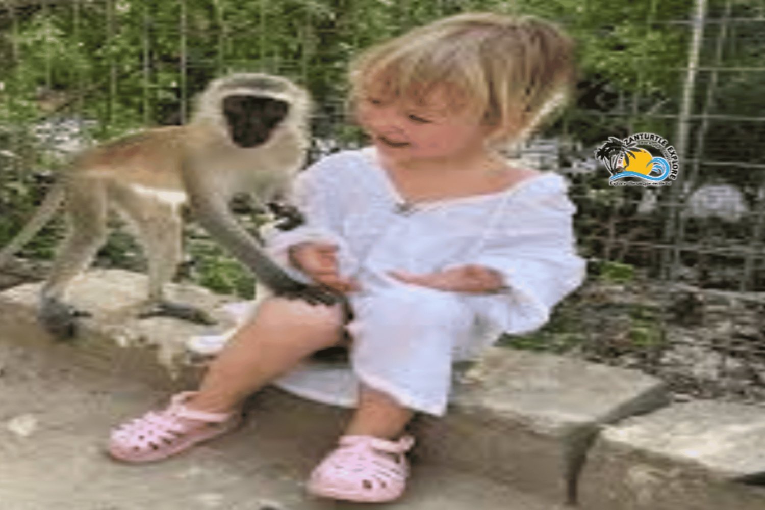 Zanzibar: Excursão de Conservação do Zoológico Nungwi Kilosa