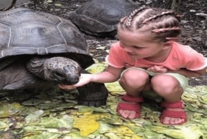 Zanzibar: Excursão de Conservação do Zoológico Nungwi Kilosa