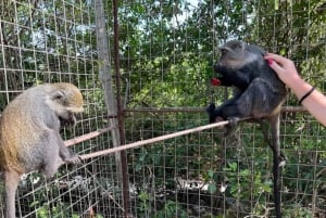 Zanzibar: Excursão de Conservação do Zoológico Nungwi Kilosa