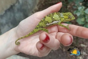 Zanzibar: Excursão de Conservação do Zoológico Nungwi Kilosa