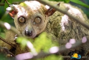 Zanzibar: Excursão de Conservação do Zoológico Nungwi Kilosa