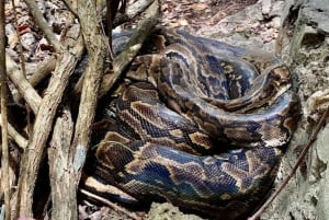 Zanzibar: Excursão de Conservação do Zoológico Nungwi Kilosa