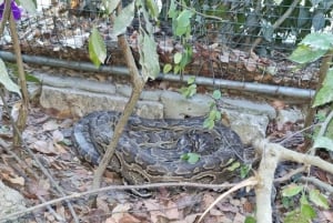 Zanzibar: Excursão de Conservação do Zoológico Nungwi Kilosa