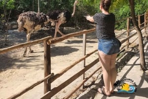 Zanzibar: Excursão de Conservação do Zoológico Nungwi Kilosa