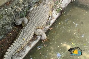 Zanzibar: Excursão de Conservação do Zoológico Nungwi Kilosa