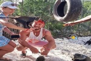 Sansibar: Nungwi Kilosa Zoo Conservation Tour