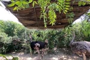 Sansibar: Nungwi Kilosa Zoo Conservation Tour