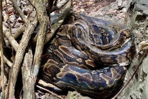 Sansibar: Nungwi Kilosa Zoo Conservation Tour