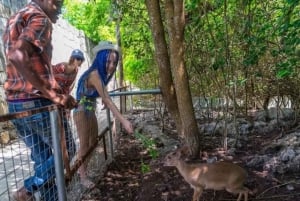 Sansibar: Nungwi Kilosa Zoo Conservation Tour