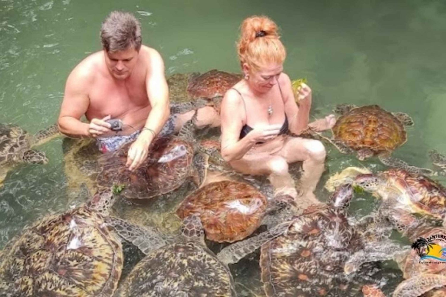 Zanzibar: Nungwi Kilosa Zoo & Swimming with Turtles