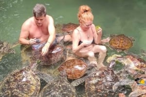 Zanzibar: Nungwi Kilosa Zoo & zwemmen met schildpadden