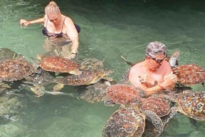 Zanzibar: Nungwi Kilosa Zoo & zwemmen met schildpadden