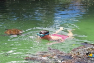 Zanzibar: Nungwi Kilosa Zoo & zwemmen met schildpadden