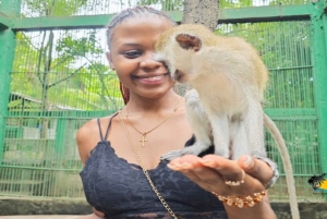 Zanzibar: Nungwi Kilosa Zoo & zwemmen met schildpadden