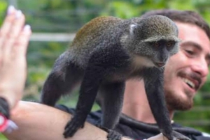 Zanzibar: Nungwi Kilosa Zoo & zwemmen met schildpadden