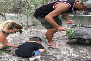 Zanzibar: Nungwi Kilosa Zoo & zwemmen met schildpadden