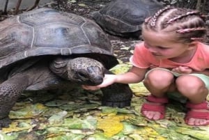 Zanzibar: Nungwi Kilosa Zoo & zwemmen met schildpadden