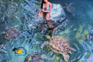 Zanzibar: Nungwi Kilosa Zoo & zwemmen met schildpadden