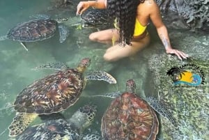 Zanzibar: Nungwi Kilosa Zoo & zwemmen met schildpadden
