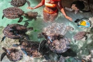 Zanzibar: Nungwi Kilosa Zoo & zwemmen met schildpadden