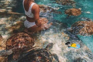 Zanzibar: Nungwi Kilosa Zoo & zwemmen met schildpadden