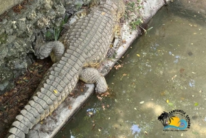 Zanzibar: Nungwi Kilosa Zoo & zwemmen met schildpadden