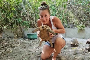 Zanzibar: Nungwi Kilosa Zoo & zwemmen met schildpadden