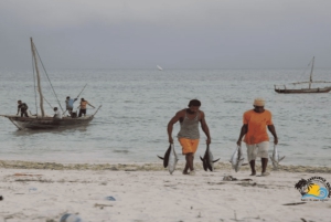 Zanzibar: Floresta Jozani e Caverna Salaam - Passeio para ver tartarugas marinhas