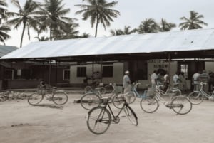 Zanzibar: Floresta Jozani e Caverna Salaam - Passeio para ver tartarugas marinhas