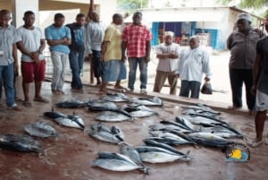 Zanzibar: Floresta Jozani e Caverna Salaam - Passeio para ver tartarugas marinhas