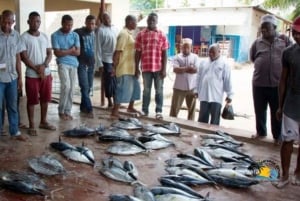 Zanzibar: Floresta Jozani e Caverna Salaam - Passeio para ver tartarugas marinhas