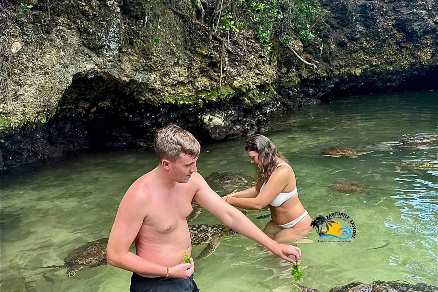 Zanzibar: Nungwi Mnarani Aquarium – mat og svømming med skilpadder