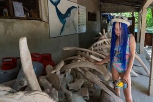 Zanzibar: Nungwi Mnarani Aquarium – mat og svømming med skilpadder