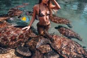 Zanzibar: Nungwi Mnarani Aquarium – mat og svømming med skilpadder