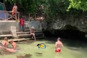 Zanzibar: Nungwi Mnarani Aquarium – mat og svømming med skilpadder